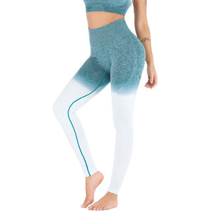 Women Sports Gym Yoga Pants Compression Tights Seamless Pants eprolo
