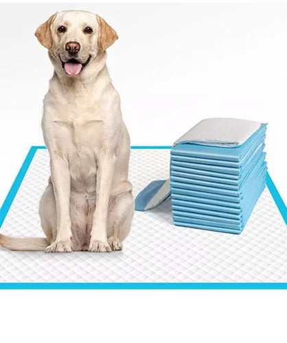 RASMARV Super Absorbent and leakproof Pet pee/training pads Rasmarv